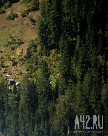 Фото: A42.RU