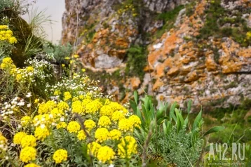 Фото: Устин — Брусничные губы: погодные приметы на 14 июня 1