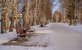 Жители кузбасского города выбирают название новой аллее протяжённостью около километра