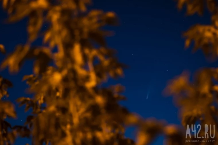 Фото: Комета «Неовайз» в кемеровском небе 11