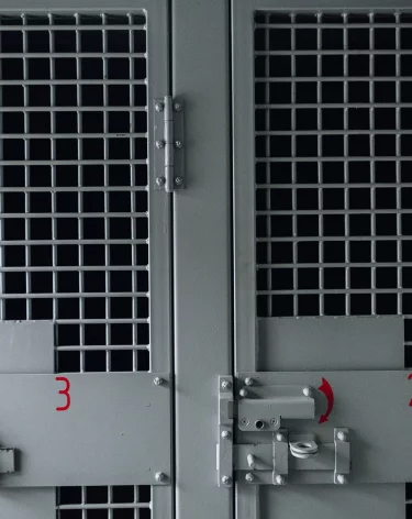 Суд арестовал кузбасского следователя Леонида Харитонова до 24 января