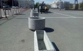 Площадь Советов в Кемерове украсят 66 новых вазонов с туями и петуниями