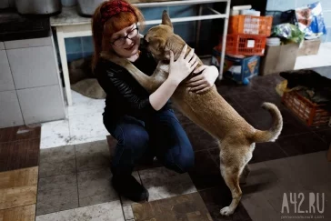 Фото: Собачья любовь: «Верный» спустя полгода после пожара 12