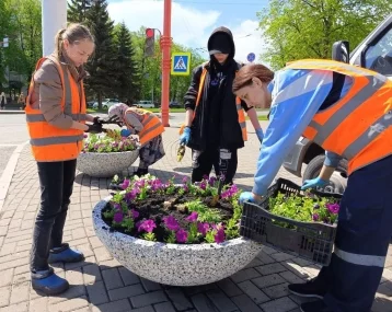 Фото: Петунии вернулись: в Кемерове начали оформлять городские вазоны 1