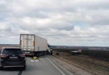 Фото: На трассе Кемерово-Новосибирск столкнулись два грузовика, один наехал на велосипедиста 3