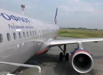 Фото: Самолёт Новокузнецк-Москва вынужденно сел в Новосибирске из-за птицы 1