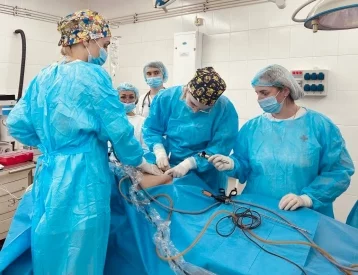 Фото: Кемеровские врачи спасли репродуктивные функции пациентки, удалив большую опухоль 1