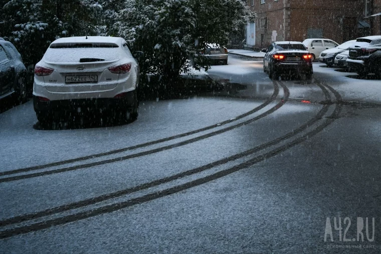 Фото: Падают деревья, аварии на дорогах: в Кемерове выпал первый снег 30