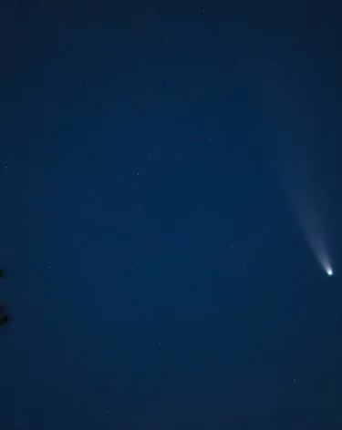 Ночью силы ПВО уничтожили три беспилотника