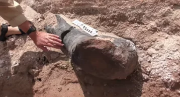 Фото: Археологи раскопали двухметровую кость гигантского динозавра 1