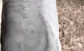 Во Франции посетительницы зоопарка выцарапали свои имена на шкуре носорога