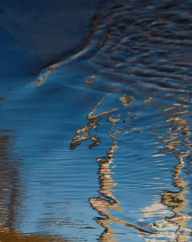 ЧП на сетях: в Новокузнецке из-под земли забила «нефть»