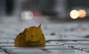 Синоптики: рабочая неделя для кузбассовцев начнётся с приятной погоды