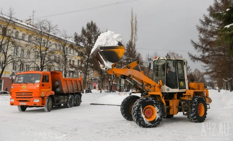 Фото: Лёд, соль, травмы и мёртвые косули. Чем опасны и чем полезны противогололёдные реагенты в Кузбассе 5