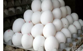 В Кузбассе за неделю подорожали яйца и подешевел картофель