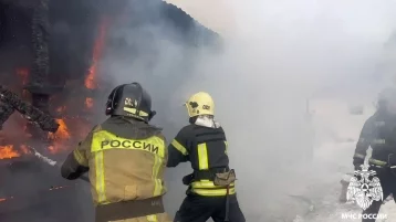 Фото: Ликвидация пожара в районе Пионер в Кемерове попала на видео 1