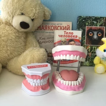 Фото: «После этого они сами чистят зубы по четыре раза в день»: директор «Улыбки» рассказал о детском стоматологическом квесте 5