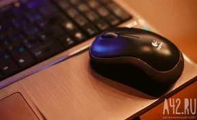 В Госдуме предложили закрепить право посещать родительские собрания онлайн