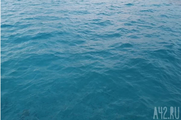 Крупнейшая судоходная компания Maersk приостановила проход судов через Ормузский пролив