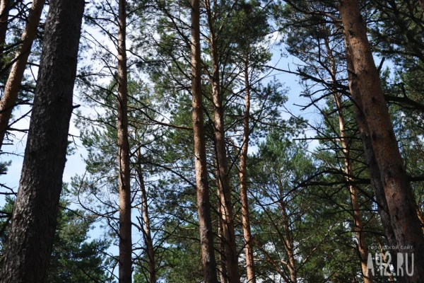 День Иоанна Лествичника: приметы на 12 апреля