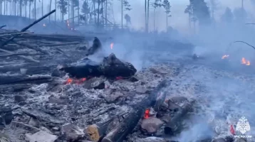 Фото: В Бурятии дети стали виновниками лесного пожара 1