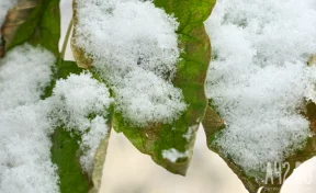 Покров Пресвятой Богородицы: народные приметы на 14 октября