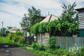 Фото: В Кузбассе 12 иностранцев «прописались» в дачном домике 1