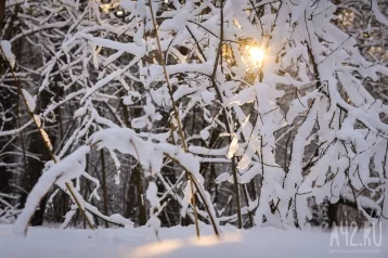 Фото: 18 декабря температура в Кузбассе опустится ещё ниже, синоптики дали прогноз 1