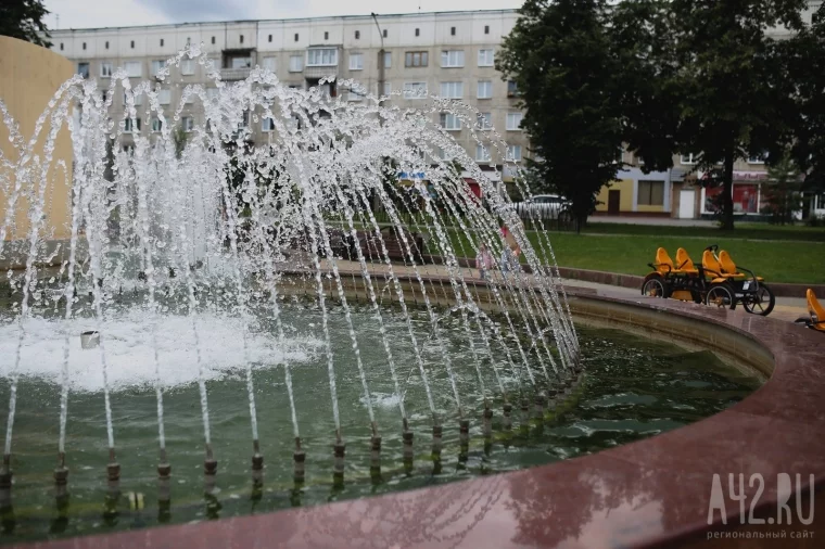 Фото: Август по-кемеровски: зелёные парки и аллеи для летнего отдыха 20