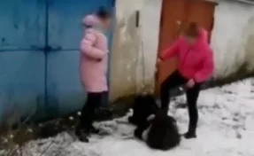 Заставили есть снег и целовать ноги: в Липецкой области подростки жестоко избили шестиклассницу