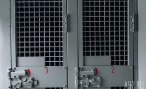 Суд в Кемерове арестовал 53-летнего мужчину, устроившего поножовщину в баре