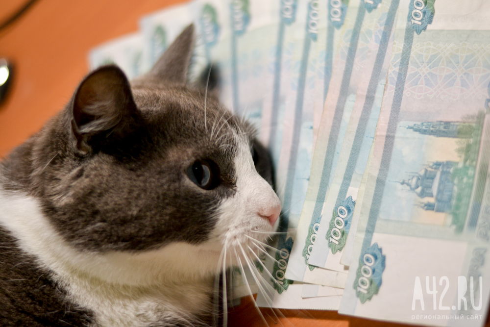 В Госдуме предложили обязать граждан декларировать наличные средства от 1 млн рублей 