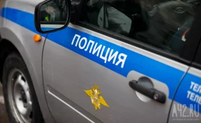 В подмосковной Балашихе неизвестный попытался похитить девочку на улице