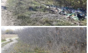В Ростовской области мусорную кучу «убрали» при помощи фоторедактора