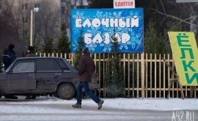 Соцсети: в Кемерове ребёнок получил травму на ёлочном базаре