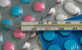 В Кузбассе количество заболевших ОРВИ и гриппом выросло на 17% за неделю