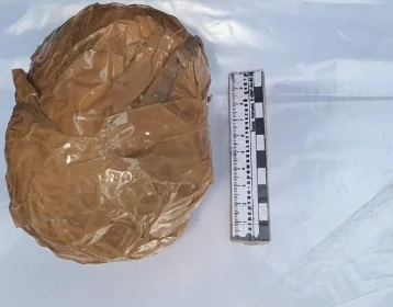 Фото: В Кузбассе полицейские изъяли около 2,5 килограммов наркотиков за пять дней 1