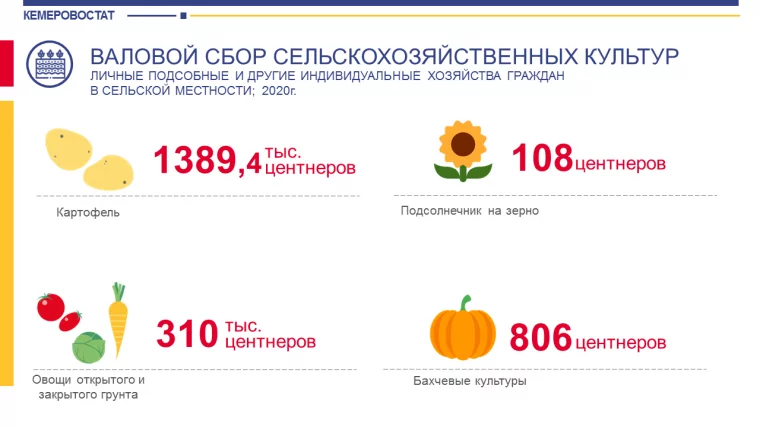 Инфографика: Кемеровостат