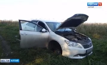 Фото: Грибник из Кузбасса нашёл свою машину разобранной в лесу в Алтайском крае 1