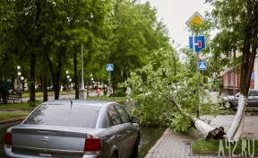 В центре Кемерова ураган повалил несколько деревьев и сорвал шифер с крыш