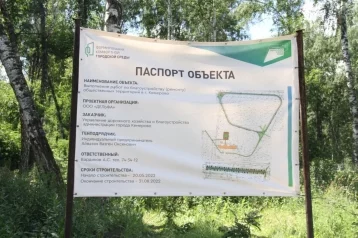 Фото: В Кемерове снова ремонтируют парк «Берёзовая роща»: работы там ведутся третий год 1