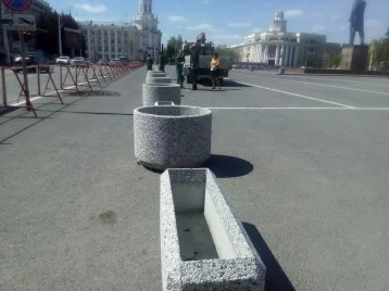 Фото: Площадь Советов в Кемерове украсят 66 новых вазонов с туями и петуниями 1