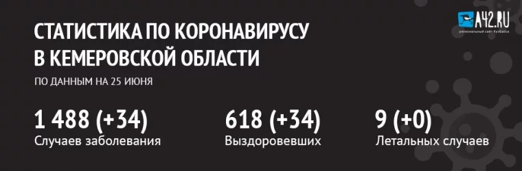 Фото: Коронавирус в Кемеровской области: актуальная информация на 25 июня 2020 года 1