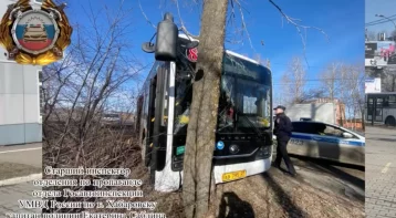 Фото: В Хабаровске водитель пассажирского автобуса потерял сознание и въехал в дерево 1