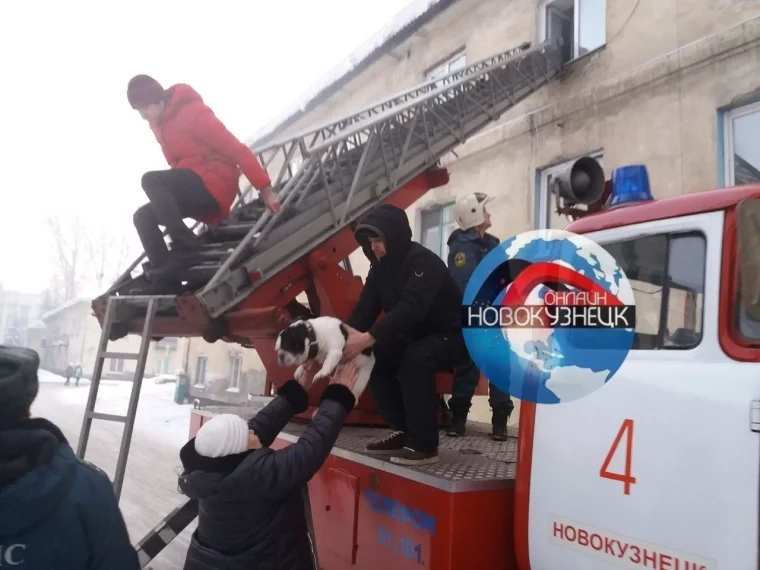 Фото: Серьёзный пожар в многоквартирном доме в Новокузнецке попал на видео 2