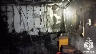 Фото: В Кузбассе ночью произошёл пожар на птицефабрике 2