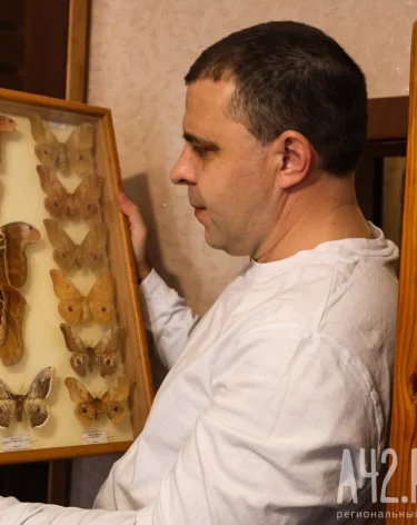 Фото: Александр Денисов / A42.RU