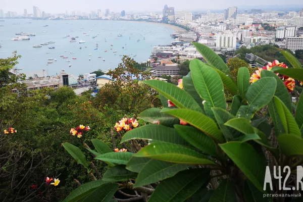 В Таиланде в канале обнаружили тело пропавшей без вести миллионерши