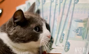 Россиянину по ошибке перечислили премию в 7 млн рублей