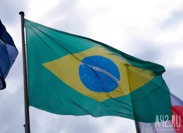 Фото: Президент Бразилии предложил Макрону извиниться 1
